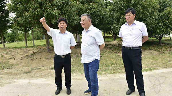 赵亚夫莅临白马湖考察指导工作