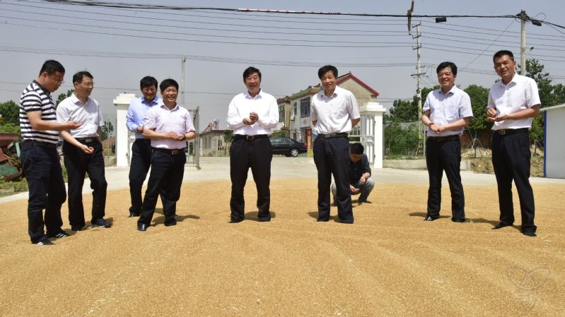 胡兆辉到白马湖检查指导工作