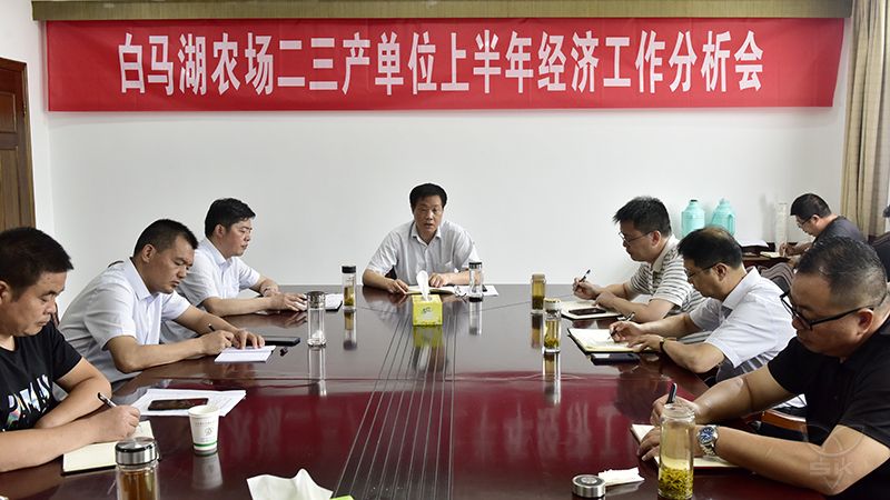 农场公司召开上半年经济工作分析会