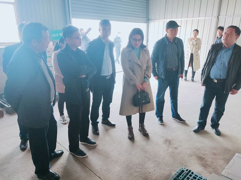 省绿办检查验收白马湖绿色食品原材料标准化生产基地创建