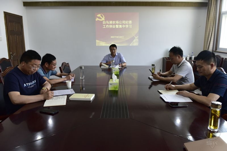 农场公司纪委举行工作例会并集中学习