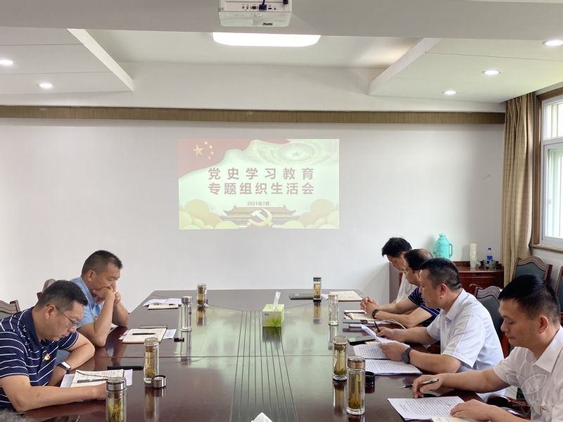 农场公司机关党支部召开党史学习教育专题组织生活会