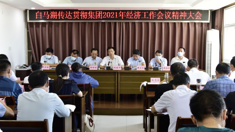 农场公司召开传达贯彻集团经济工作会议精神大会