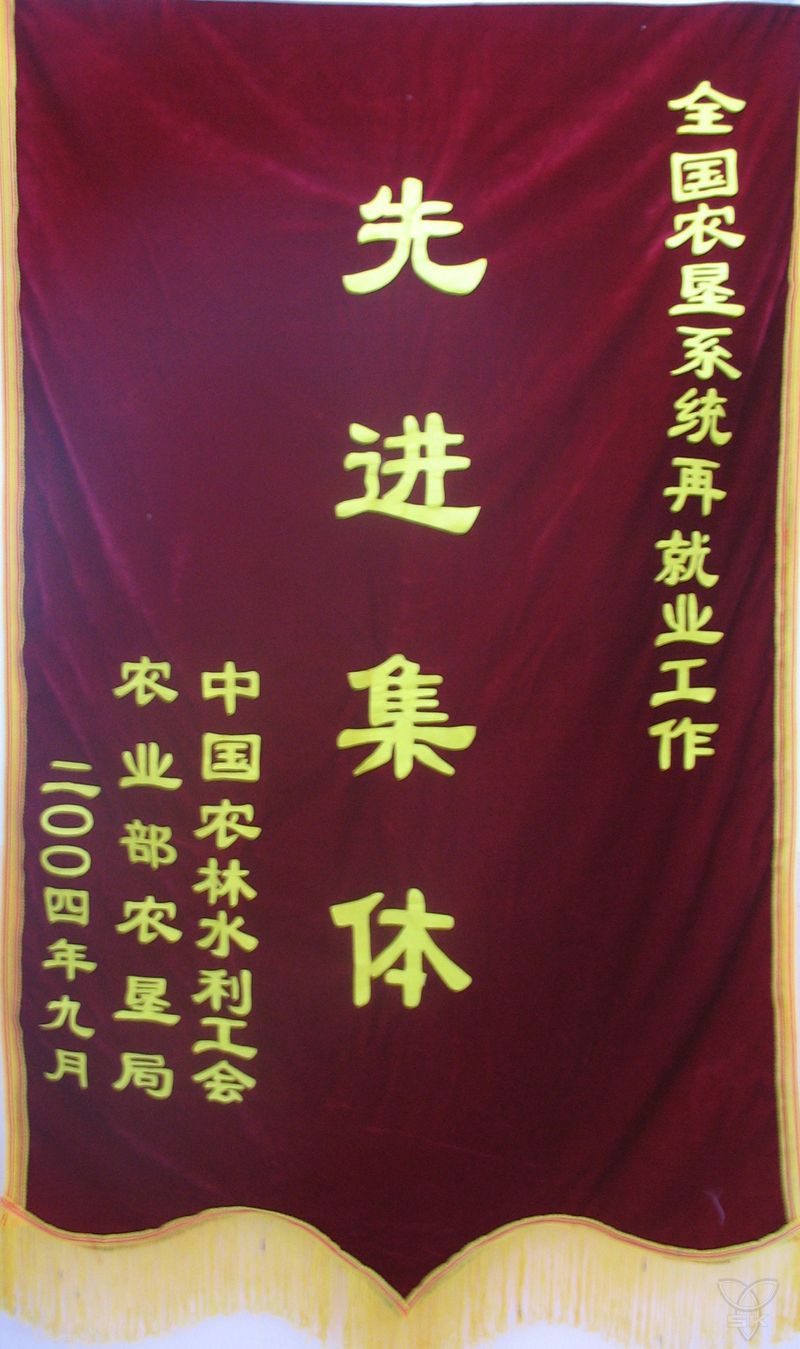 全国农垦系统再就业工作先进集体