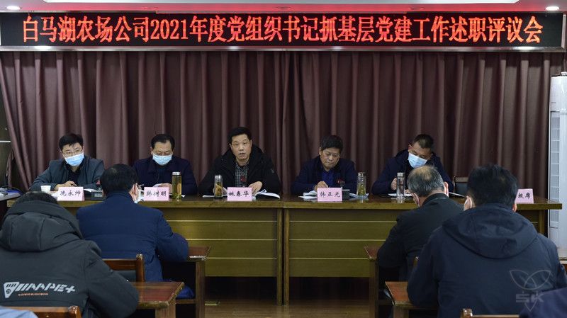 农场公司召开党组织书记抓基层党建述职考评会