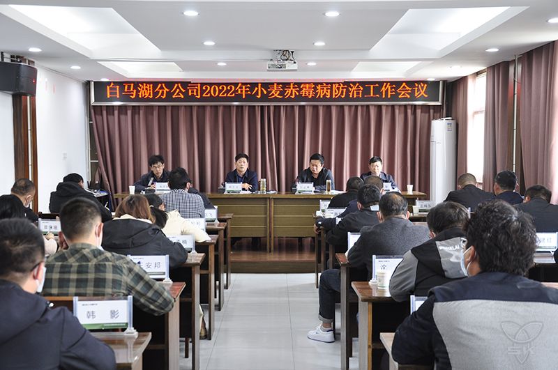分公司召开小麦赤霉病防治工作会议