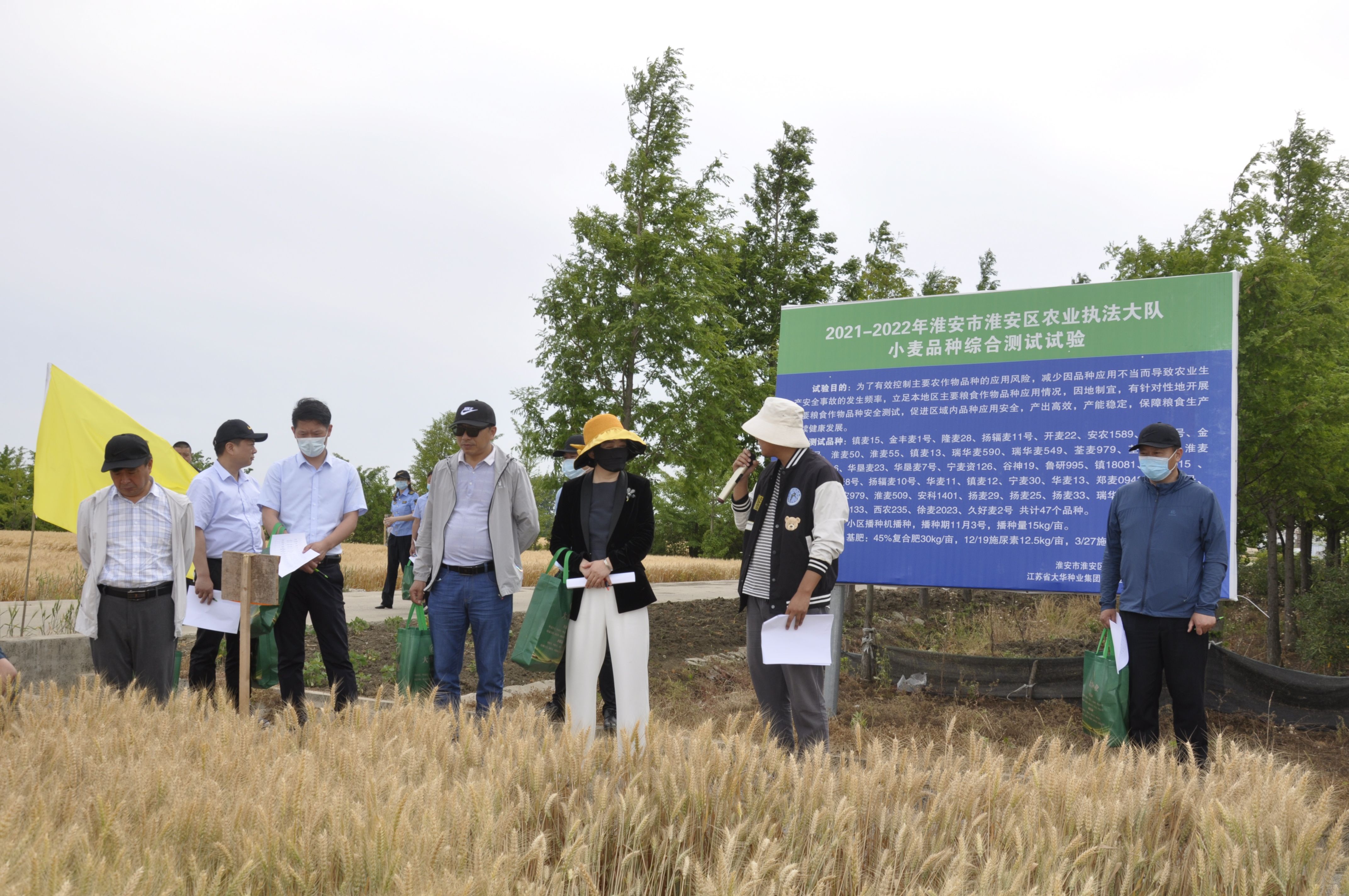 区农业执法大队在大华白马湖分公司举办小麦品种观摩会