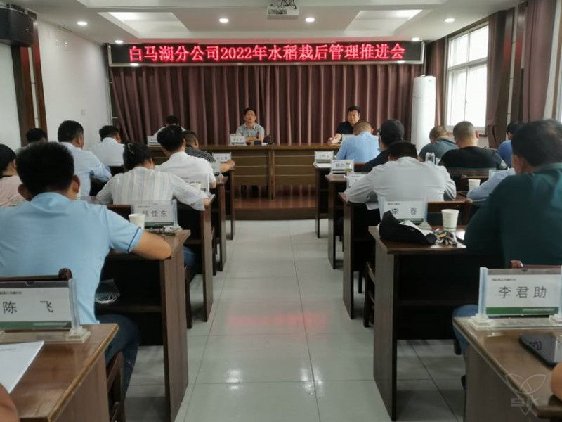 白马湖分公司召开水稻播栽后管理推进会