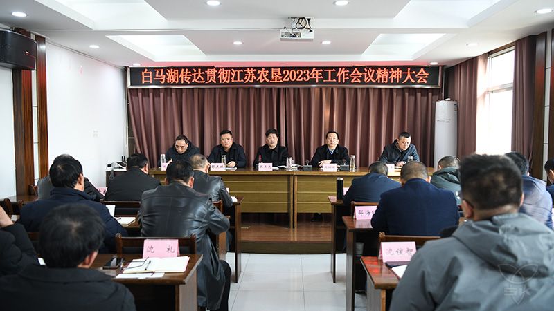 农场公司召开传达贯彻集团工作会议精神大会