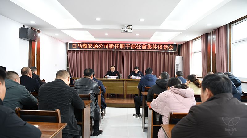 农场公司纪委对履新人员开展任前集体廉洁谈话