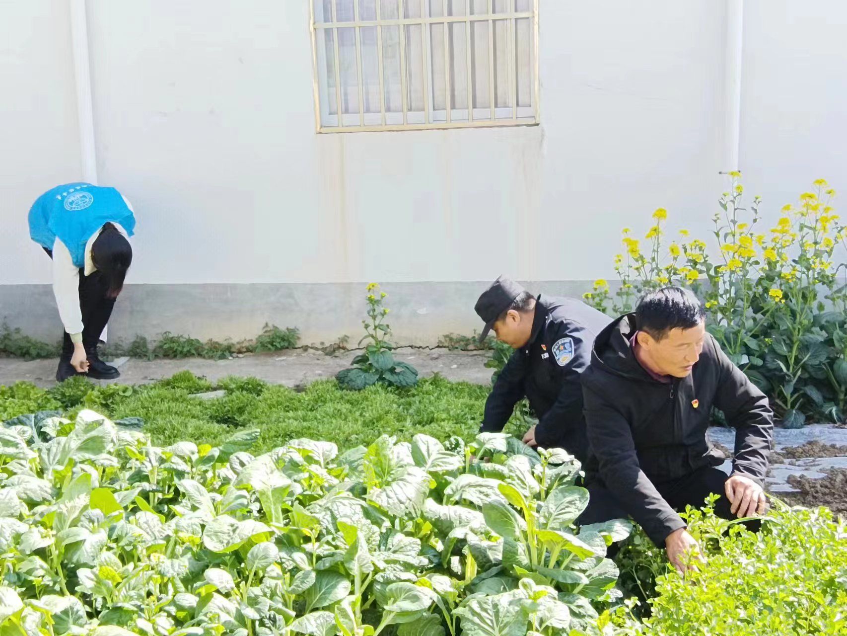 王庄居委会：踏查宣传两手抓 禁种铲毒守净土