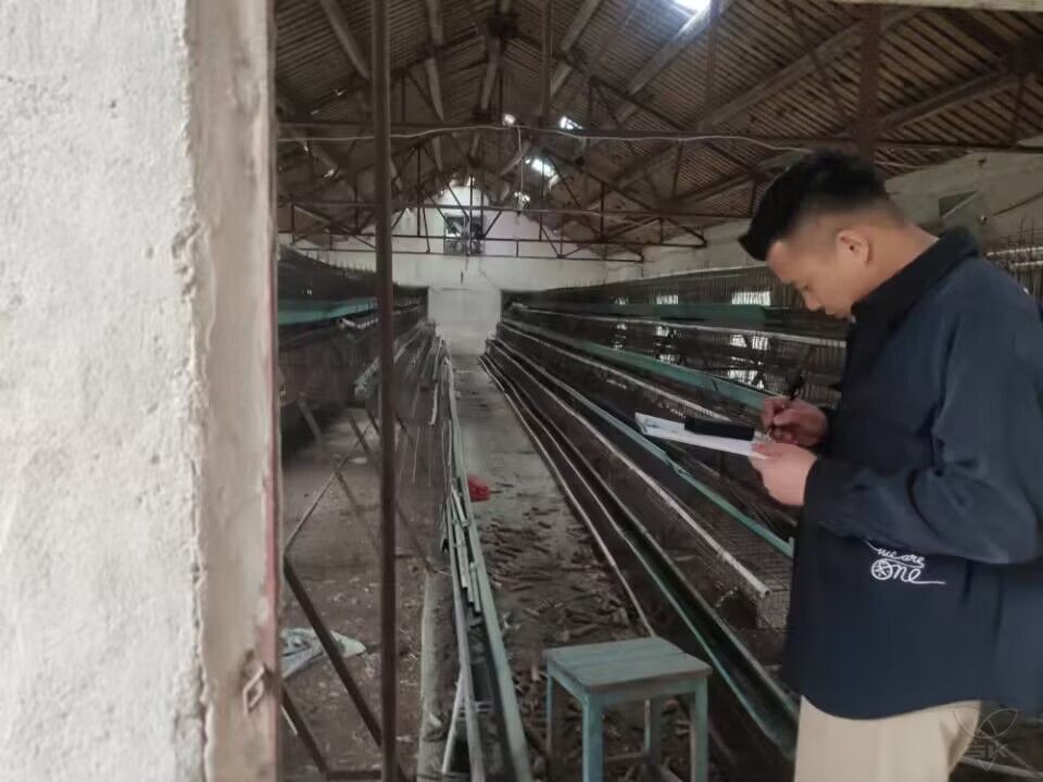 农场公司有序推进部分养鸡场的拆除工作