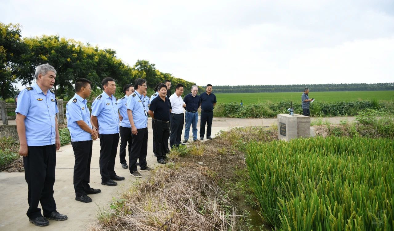 省植保植检站来白马湖开展专项检查