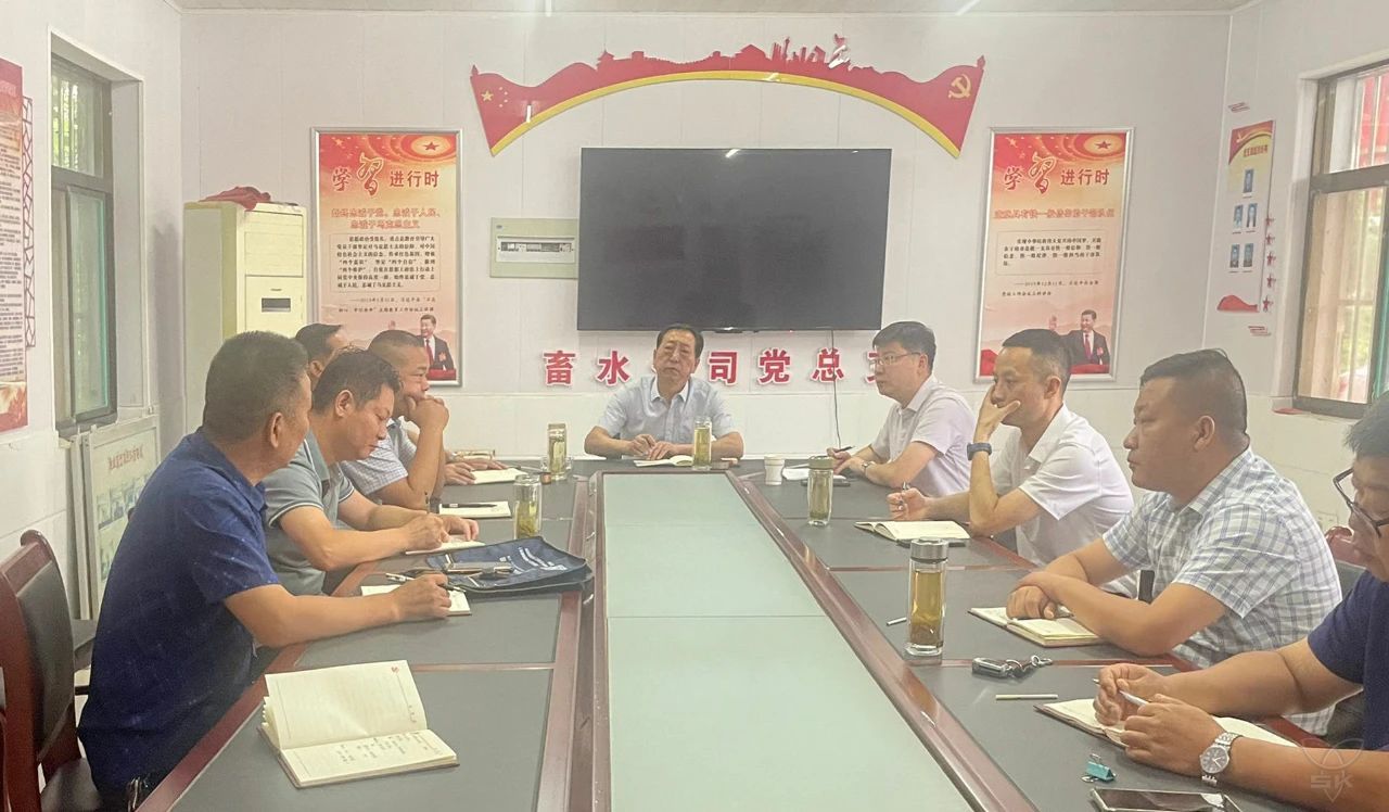 农场公司举行渔光互补模式下的养殖方案专题讨论