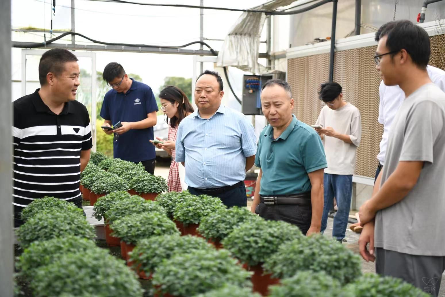 省苗木商会、市苗木协会相关领导来场考察