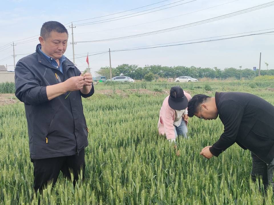 “五一”我在岗丨第五生产区：踏田巡查 护航春耕