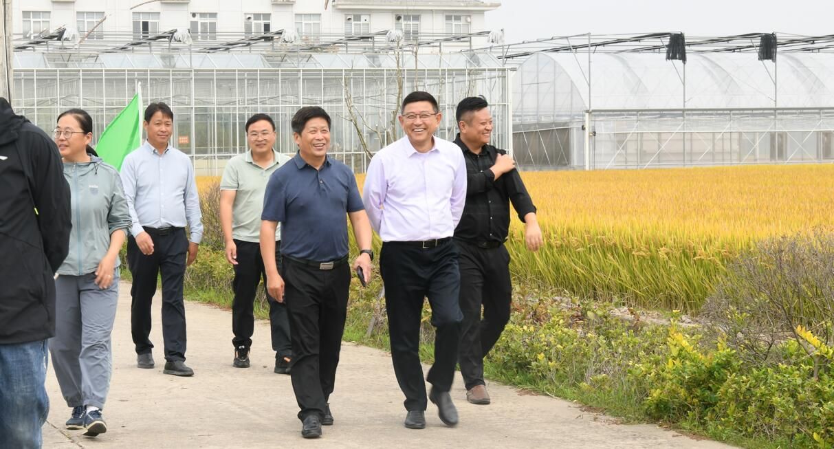黏土地片区水稻试验与品种观摩会在白马湖召开