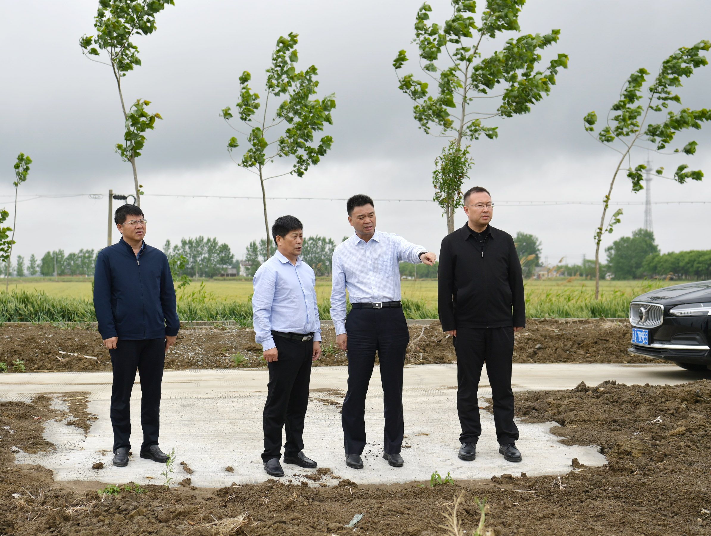 姜建友来白马湖调研指导工作