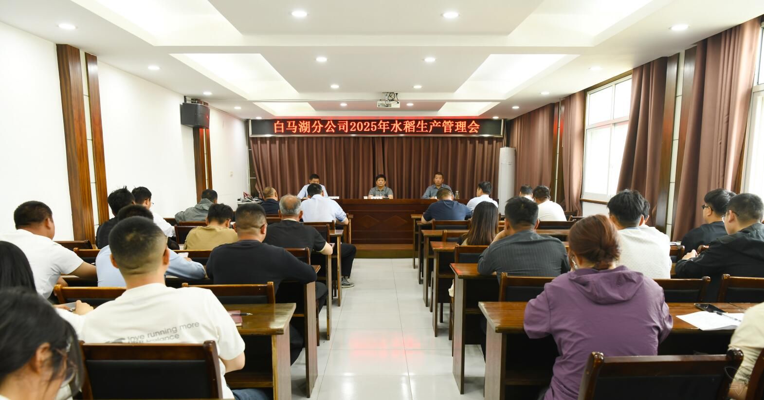 分公司召开2025年水稻生产管理会