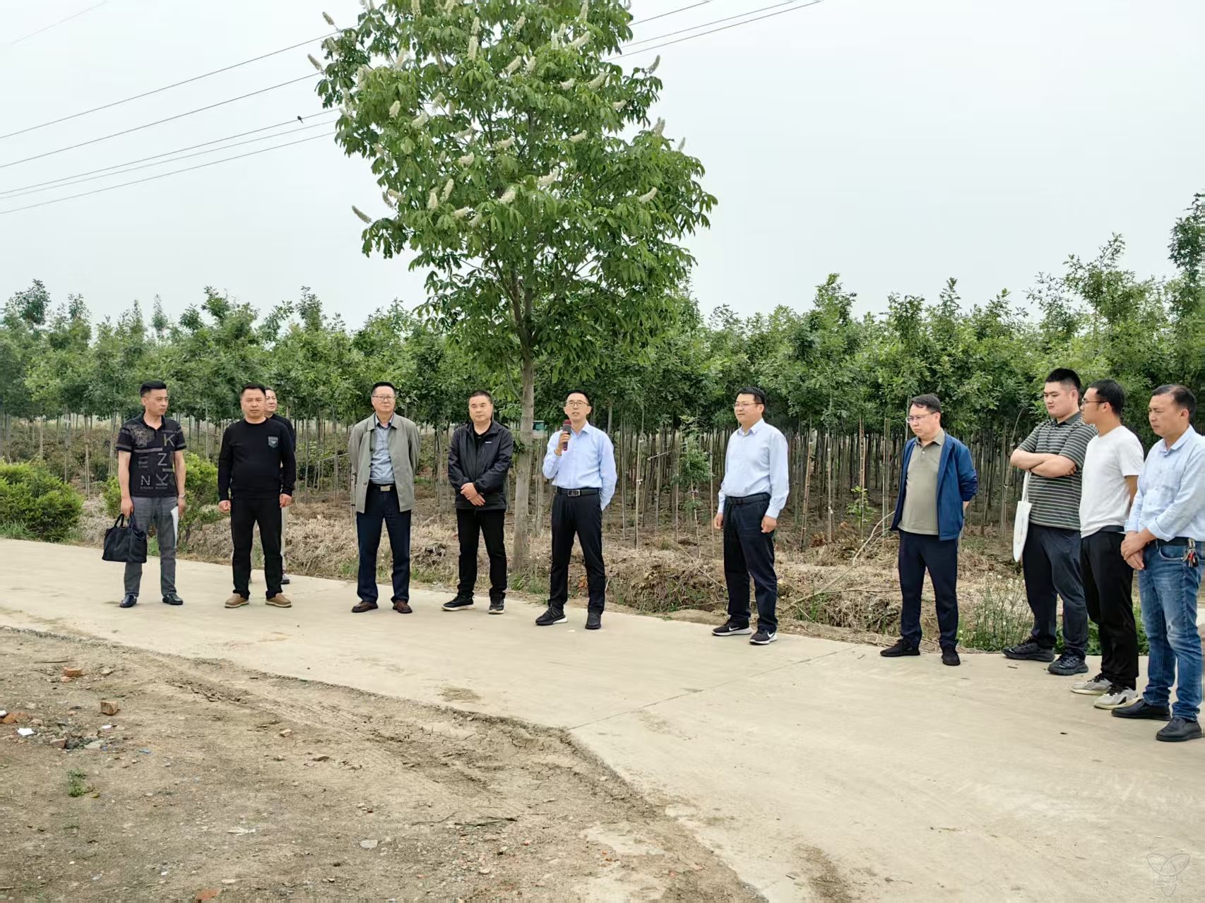 市林业站防灾减灾宣传活动进白马湖